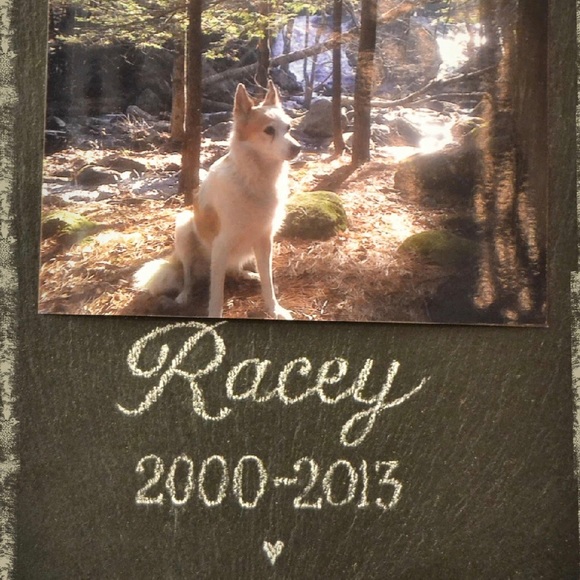 Lucky Dog Thrift Shop - Picture 5 of 8